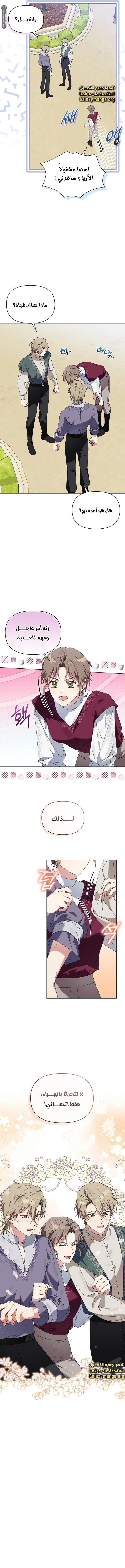 الصفحة 12