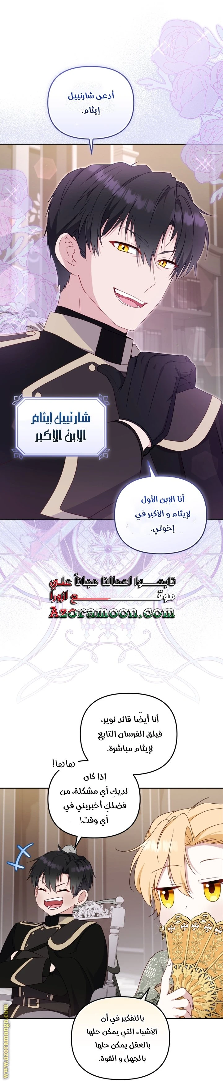الصفحة 13