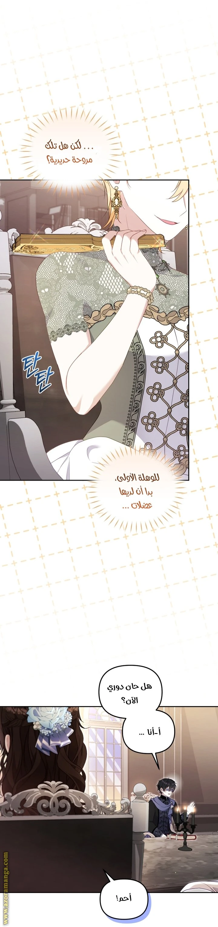 الصفحة 17