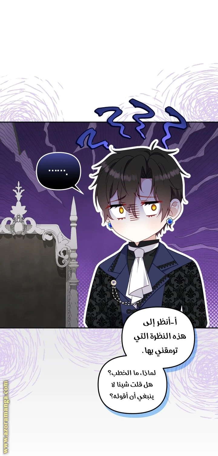 الصفحة 19