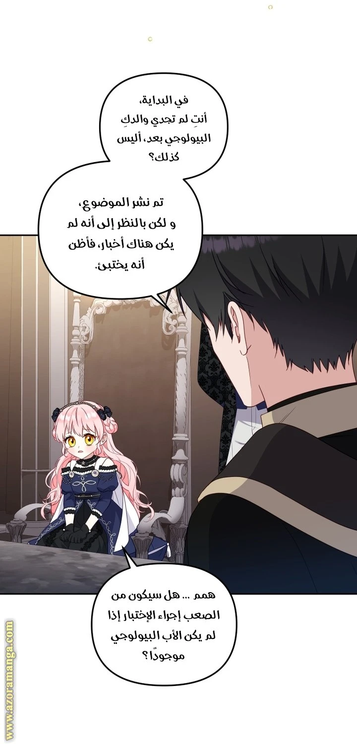 الصفحة 26