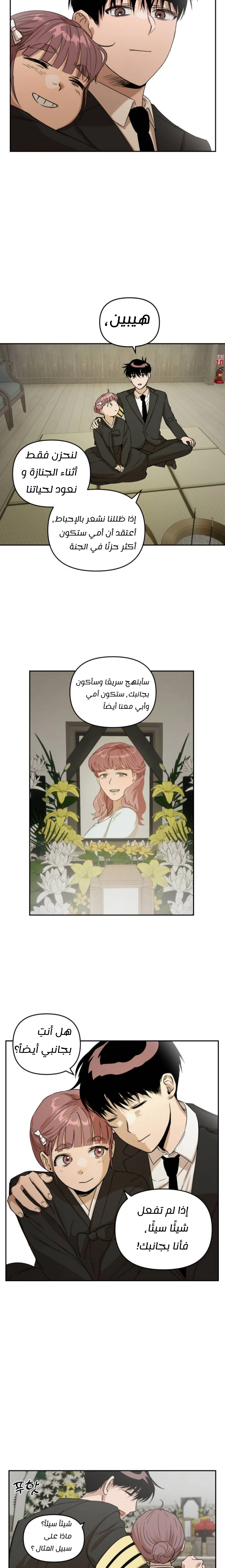الصفحة 17