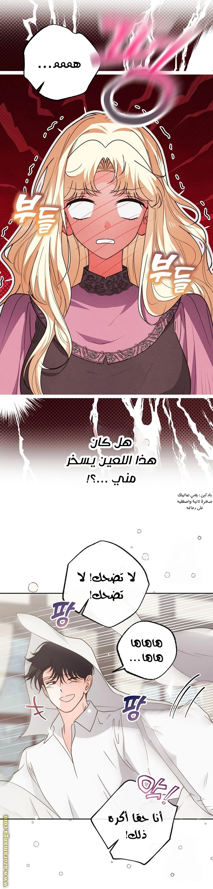 الصفحة 16