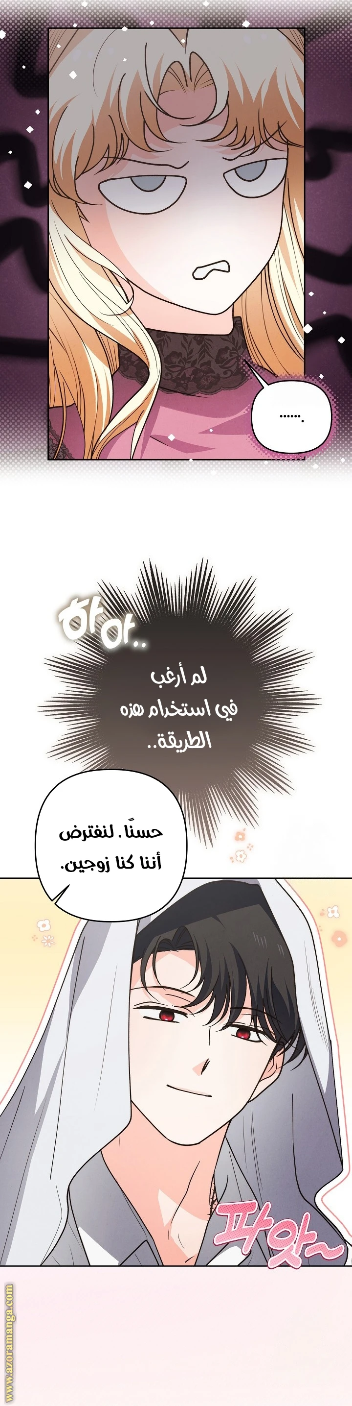 الصفحة 19