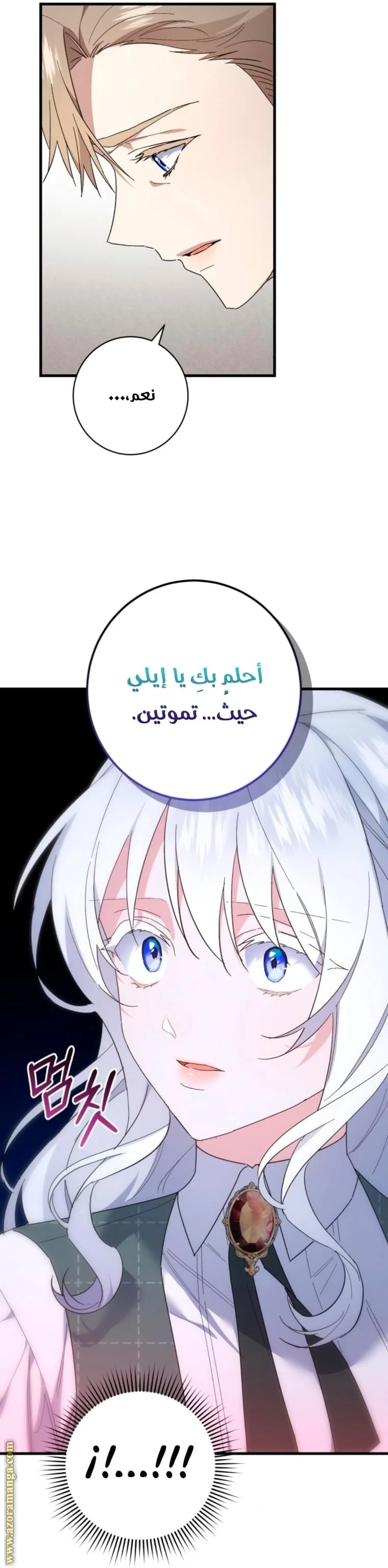 الصفحة 25