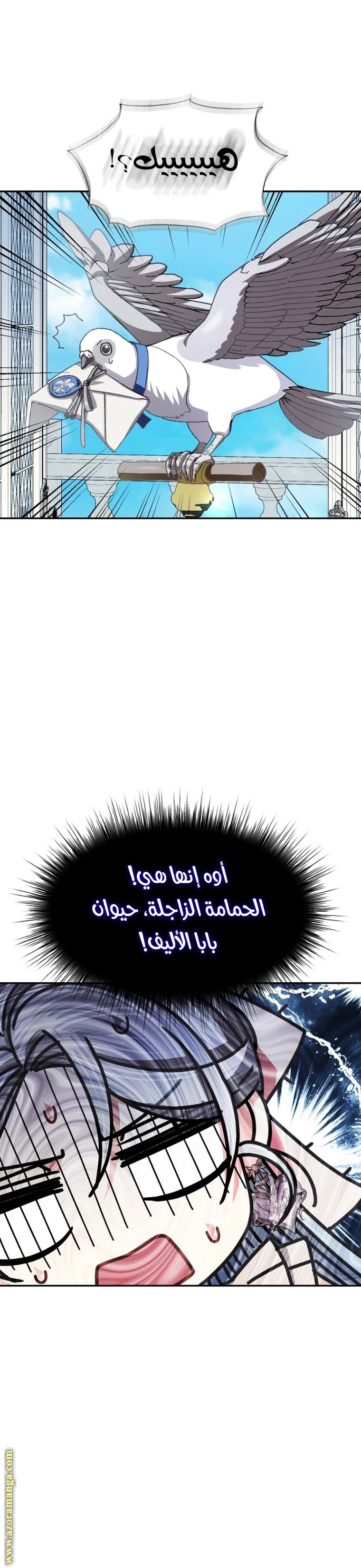 الصفحة 12