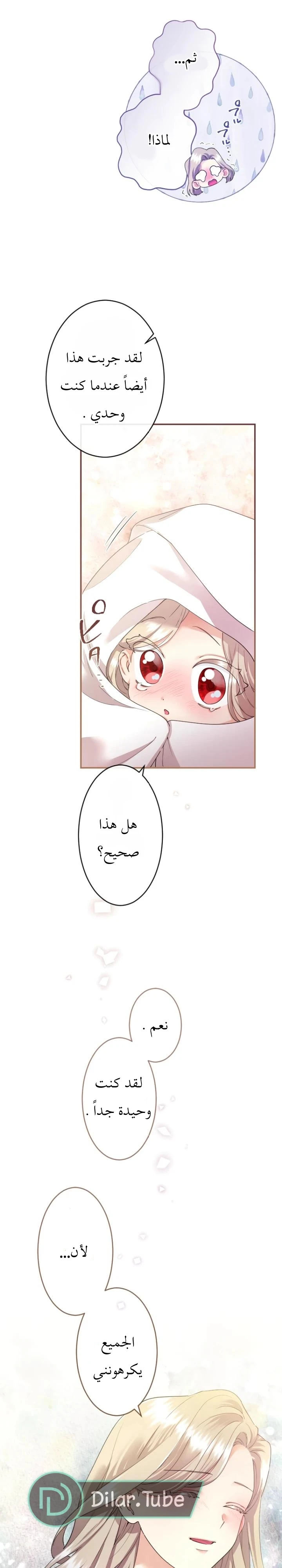 الصفحة 29