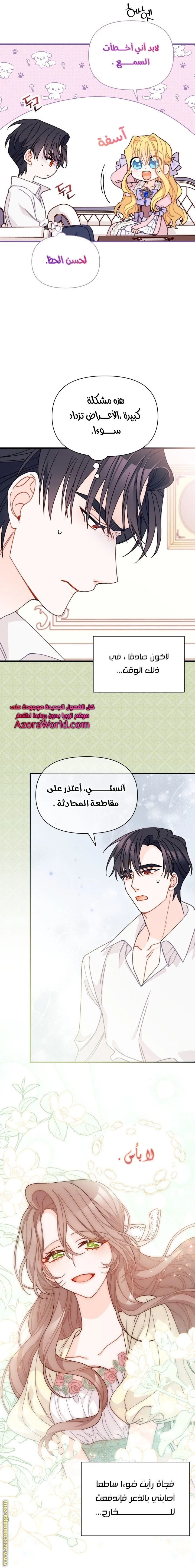الصفحة 17