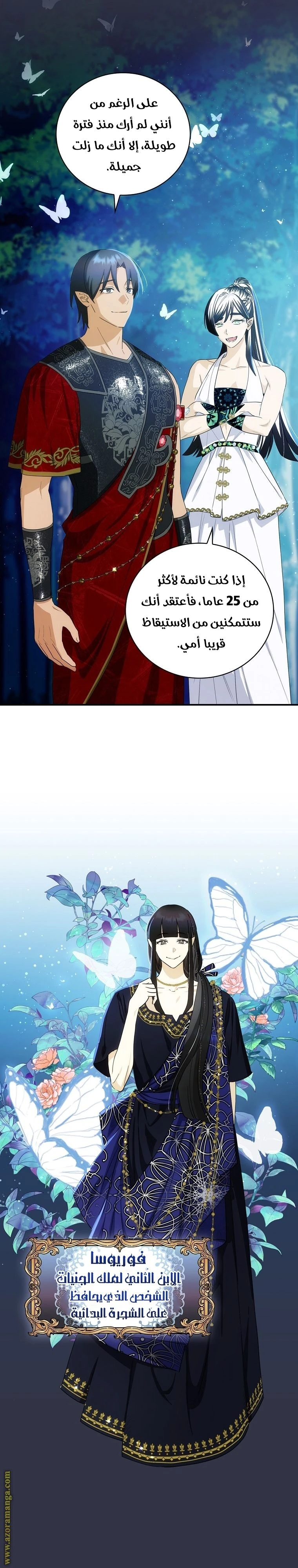 الصفحة 13