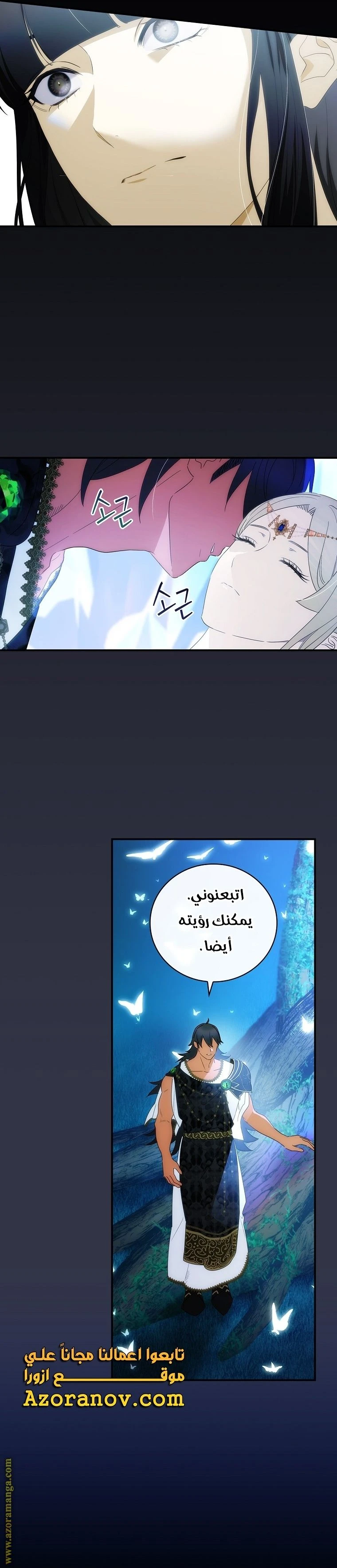الصفحة 19