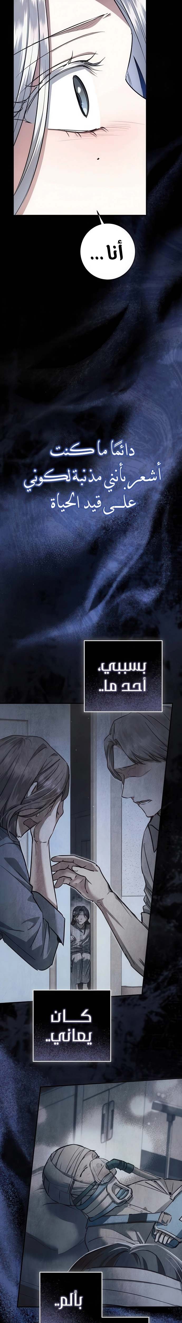 الصفحة 25