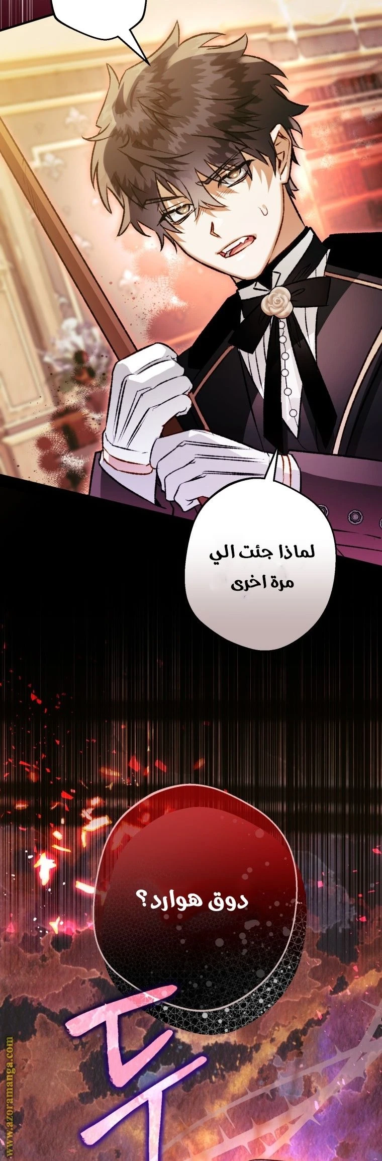 الصفحة 49