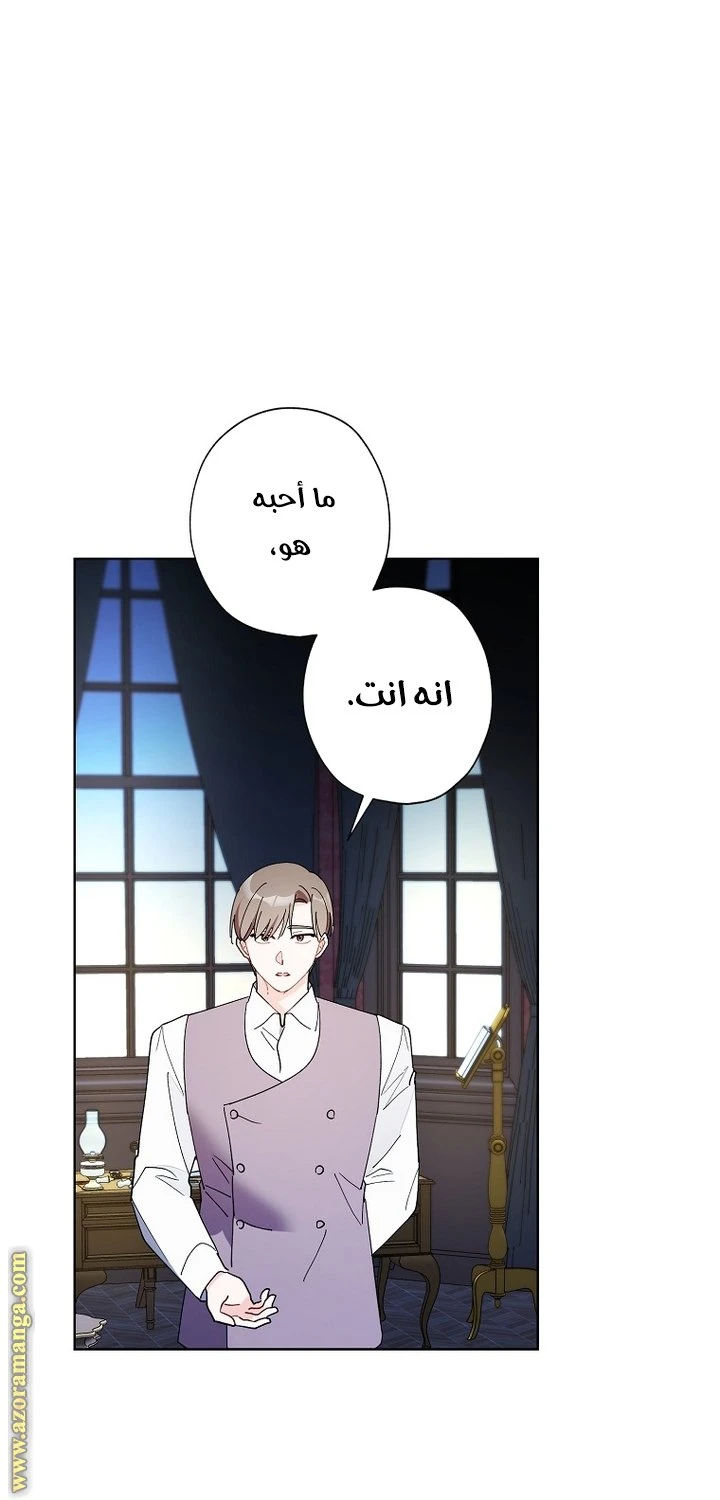 الصفحة 25