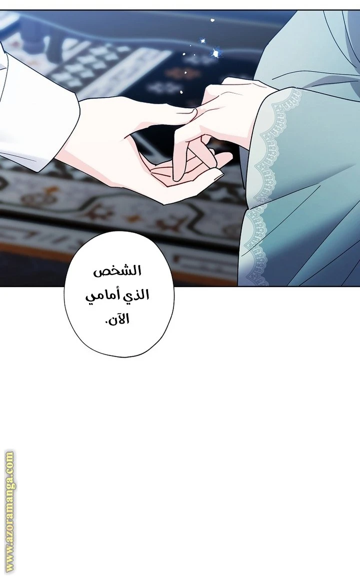 الصفحة 27