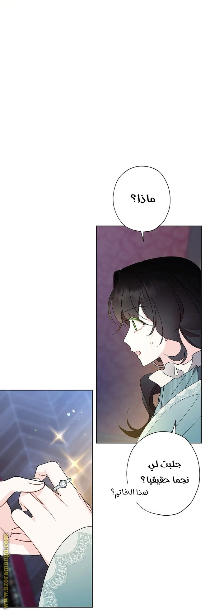 الصفحة 30