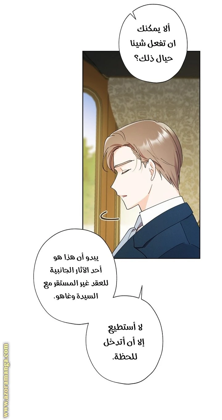 الصفحة 40