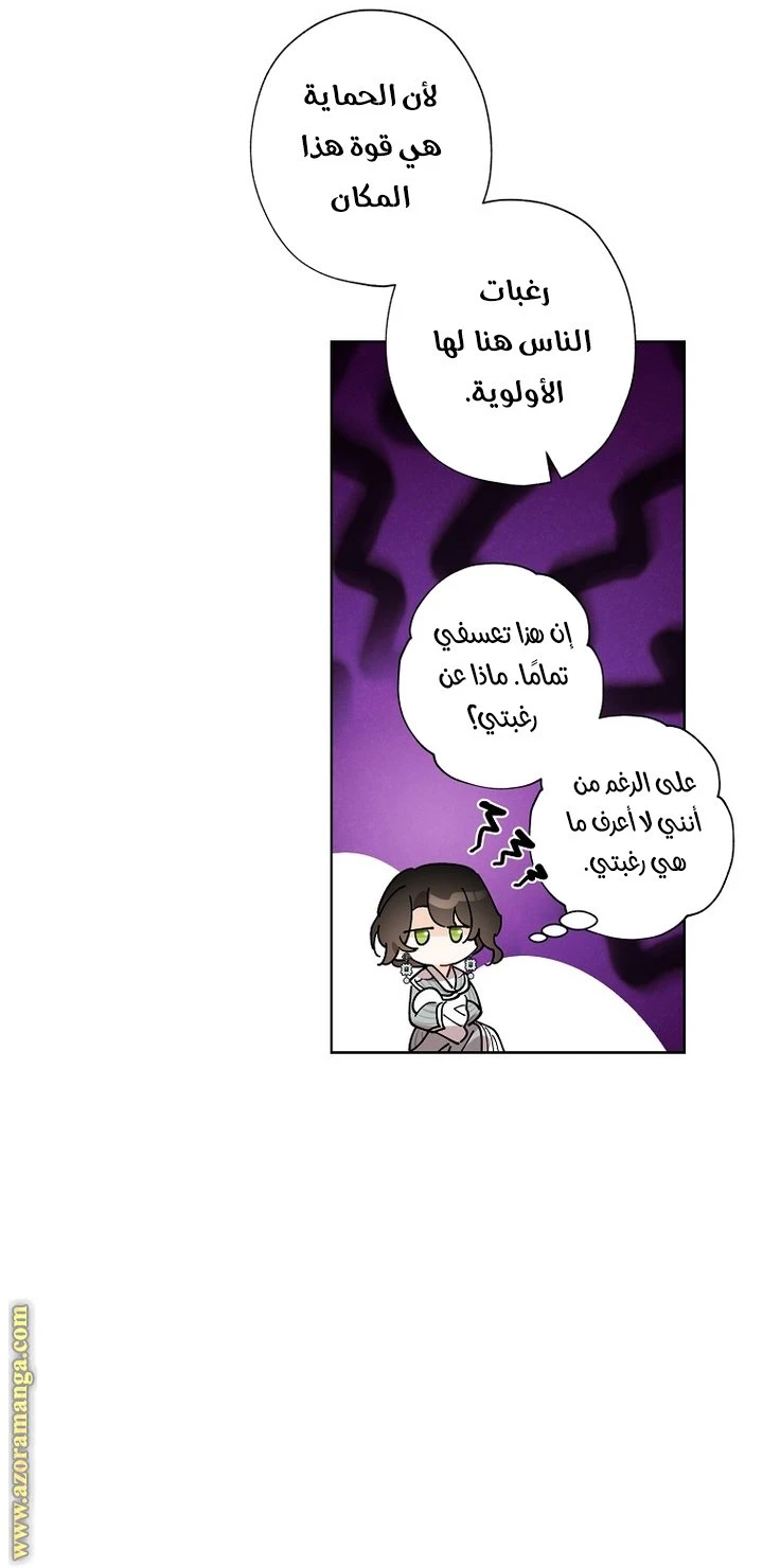 الصفحة 41