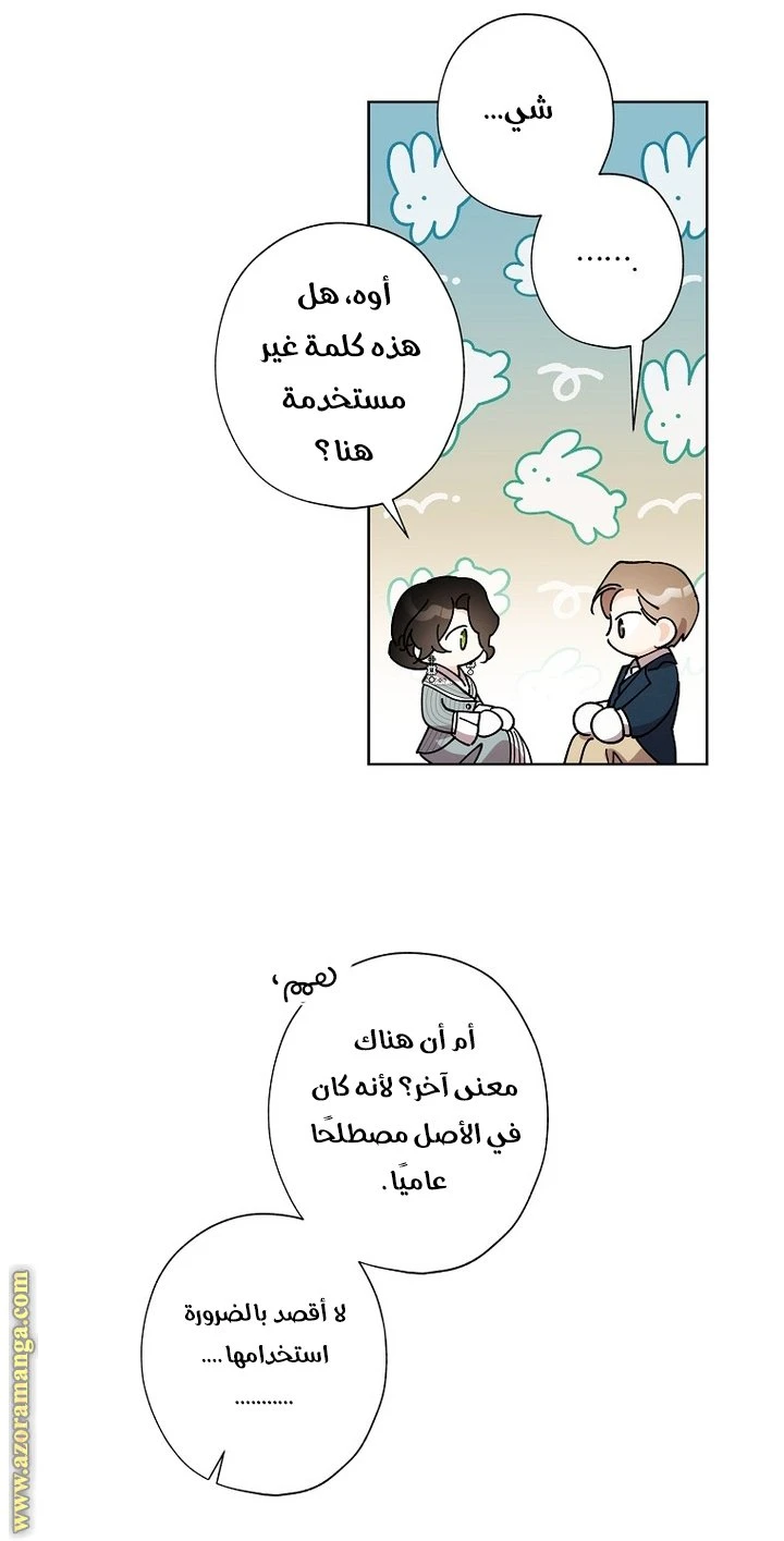 الصفحة 45