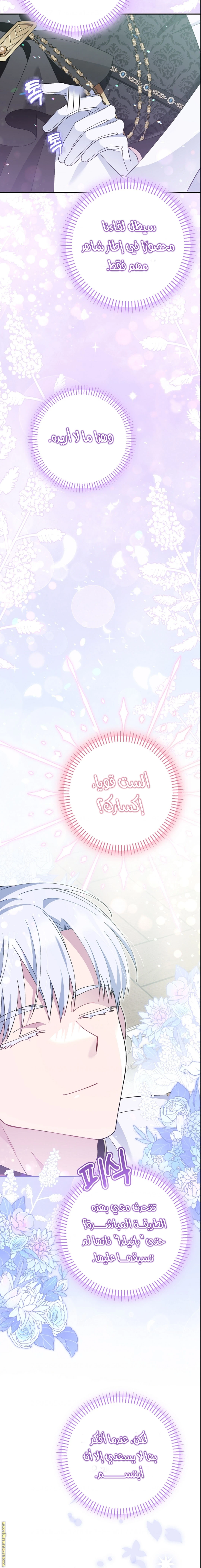 الصفحة 16