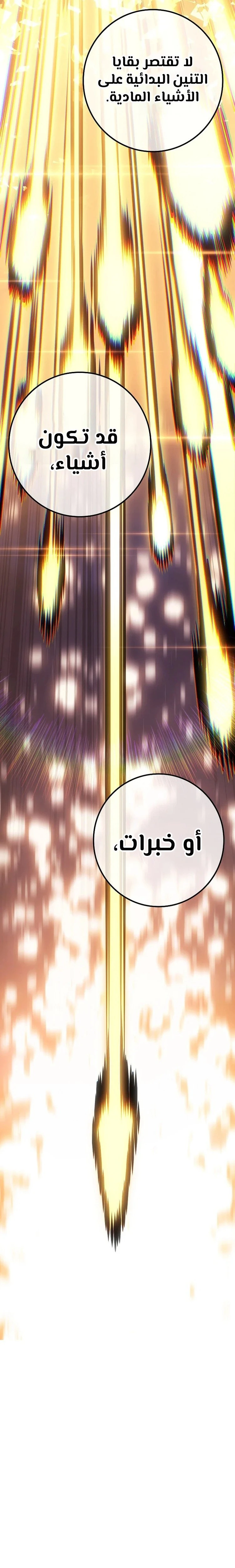 الصفحة 27