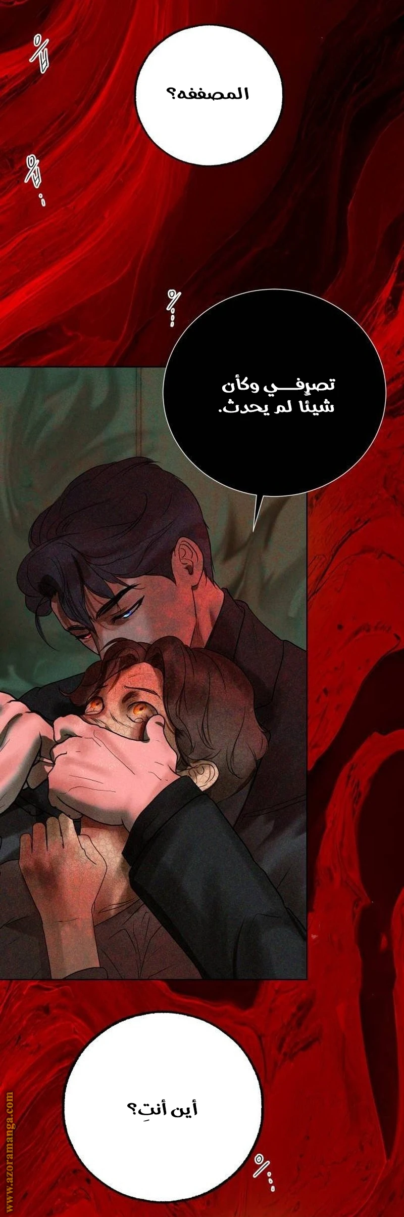 الصفحة 27