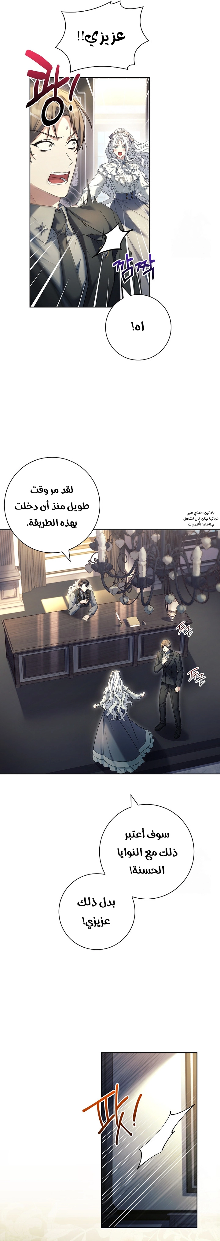 الصفحة 21