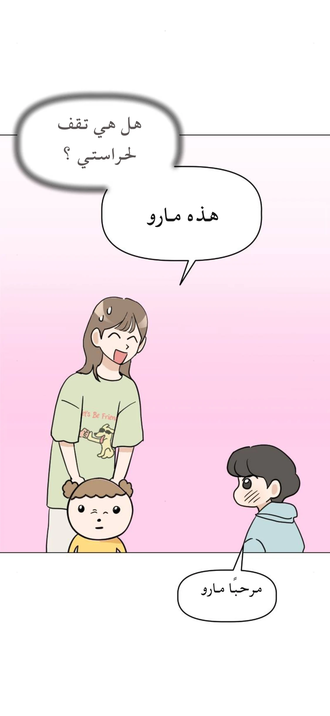 الصفحة 17