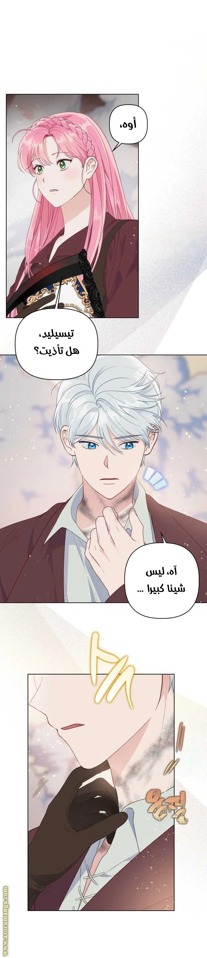 الصفحة 15