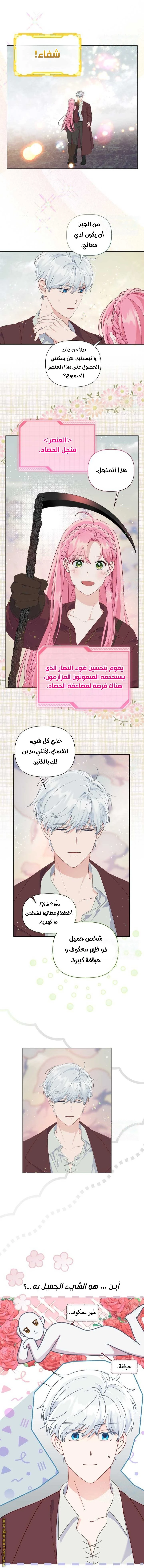 الصفحة 16