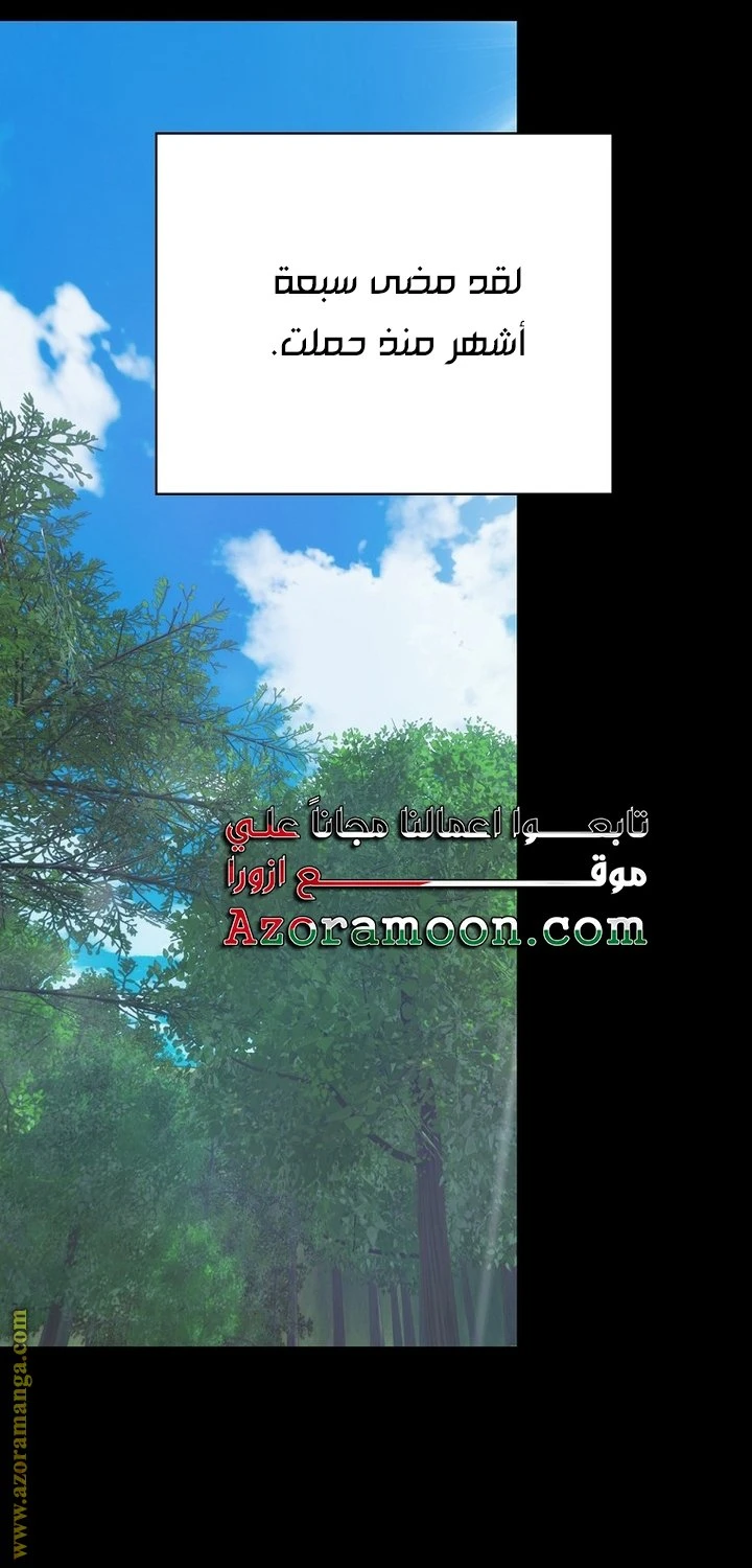 الصفحة 24