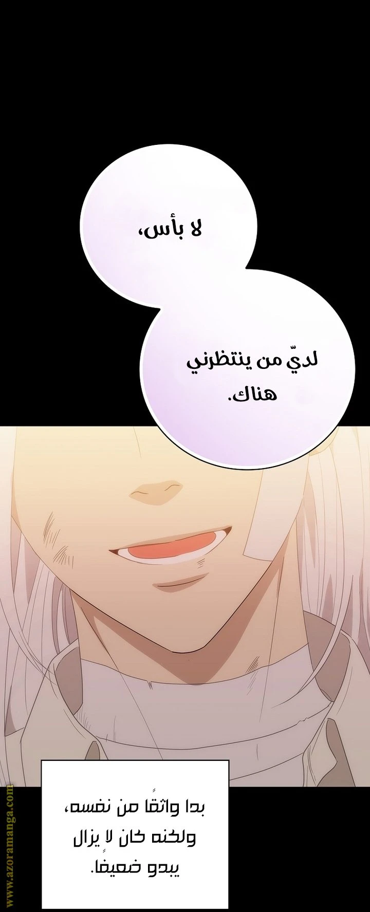 الصفحة 30