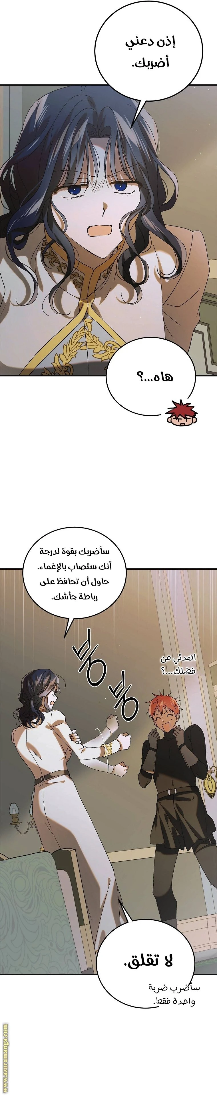الصفحة 26