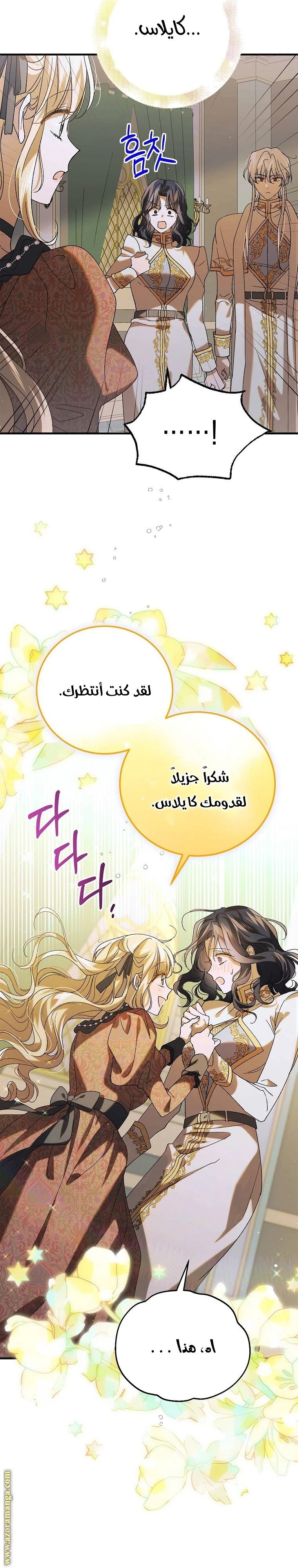 الصفحة 29