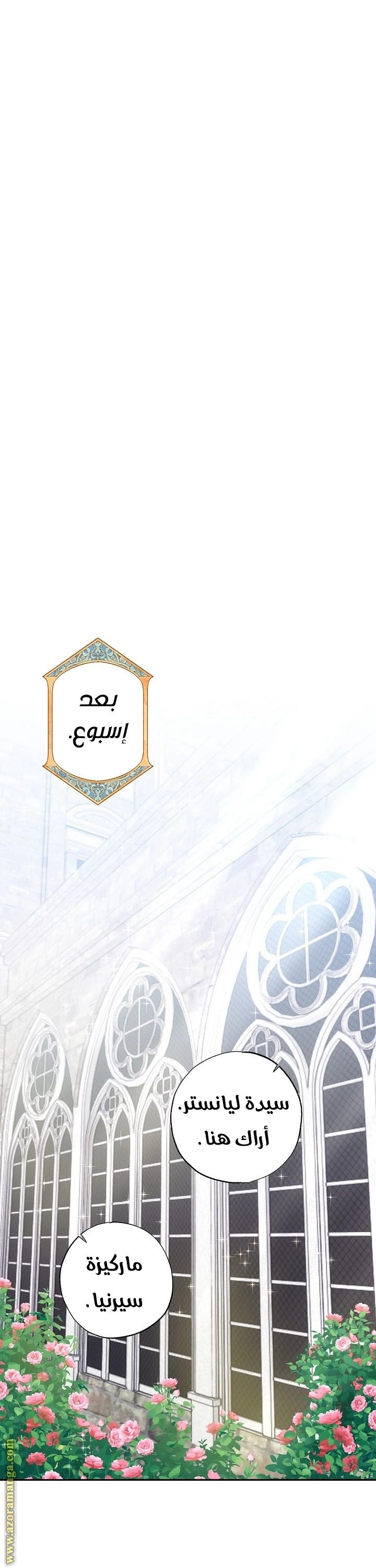 الصفحة 28