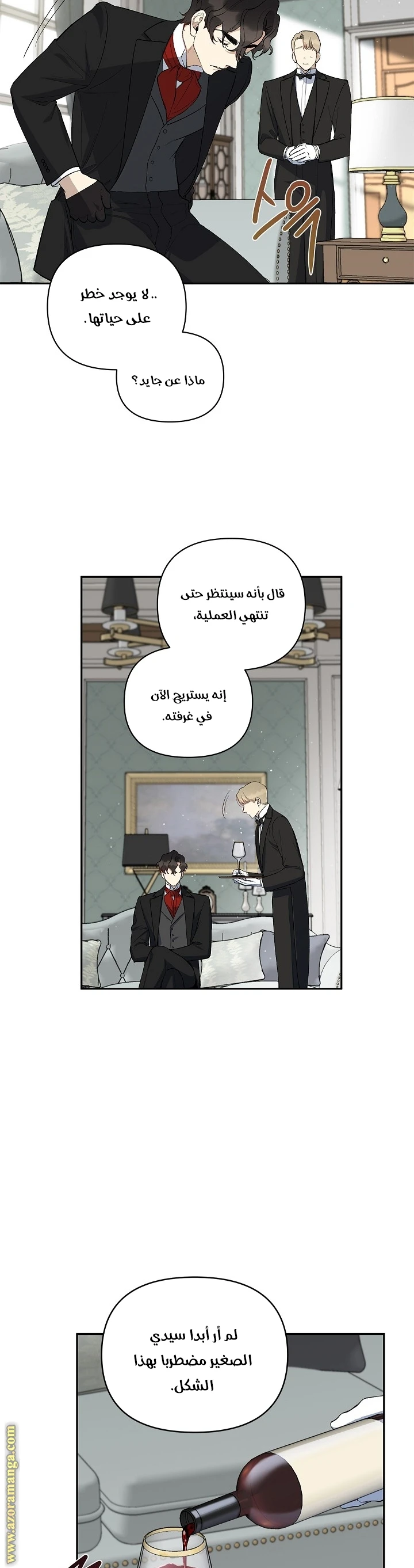الصفحة 27