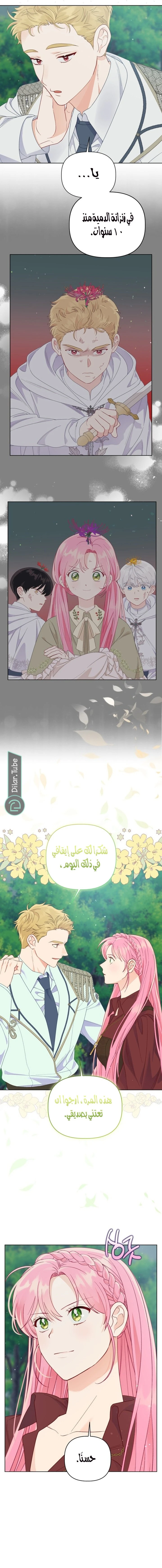 الصفحة 14