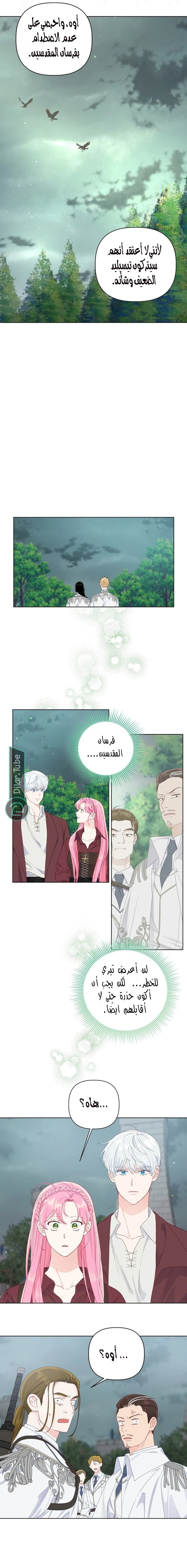 الصفحة 15