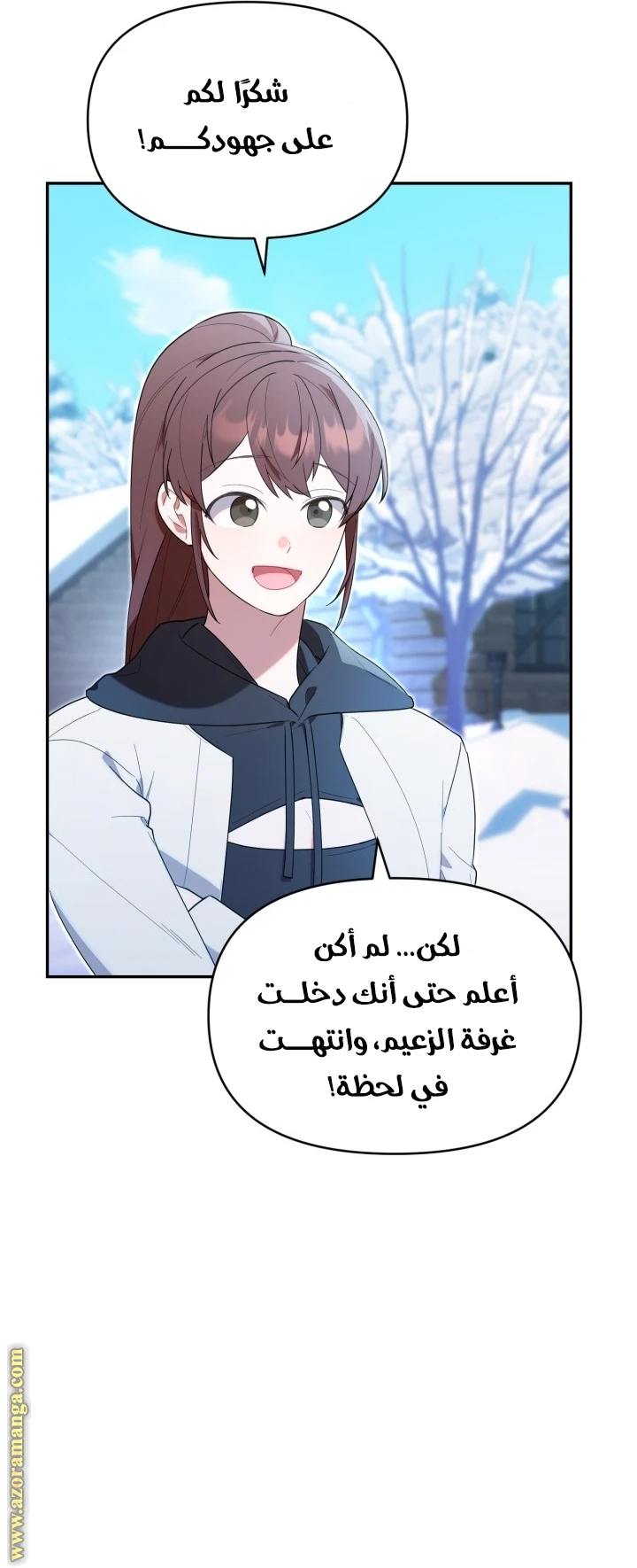 الصفحة 26