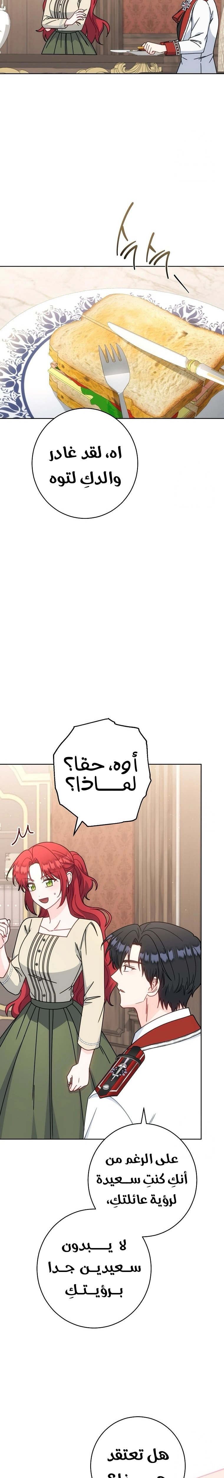 الصفحة 19