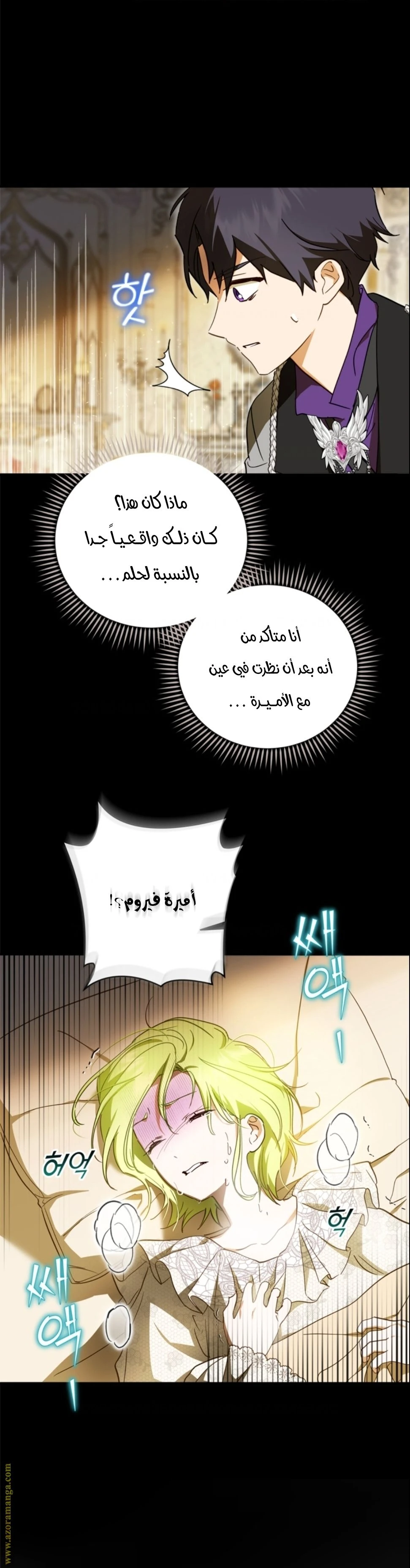 الصفحة 19