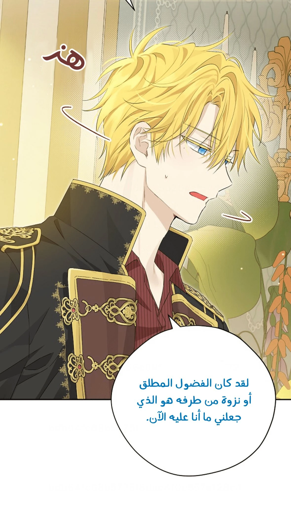 الصفحة 48