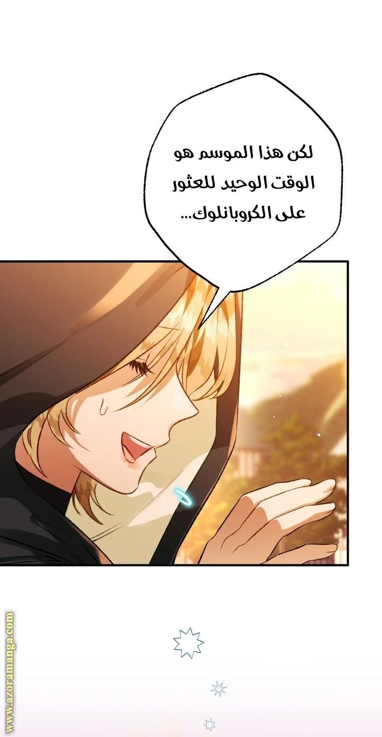 الصفحة 28