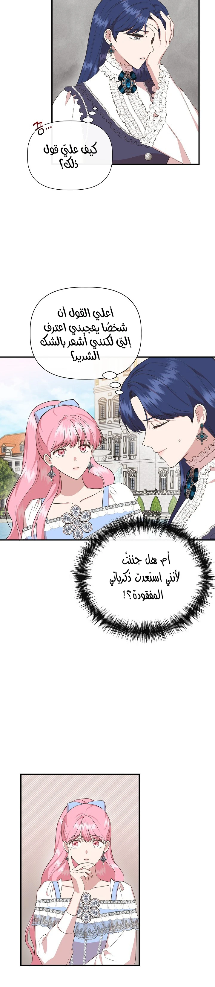 الصفحة 13