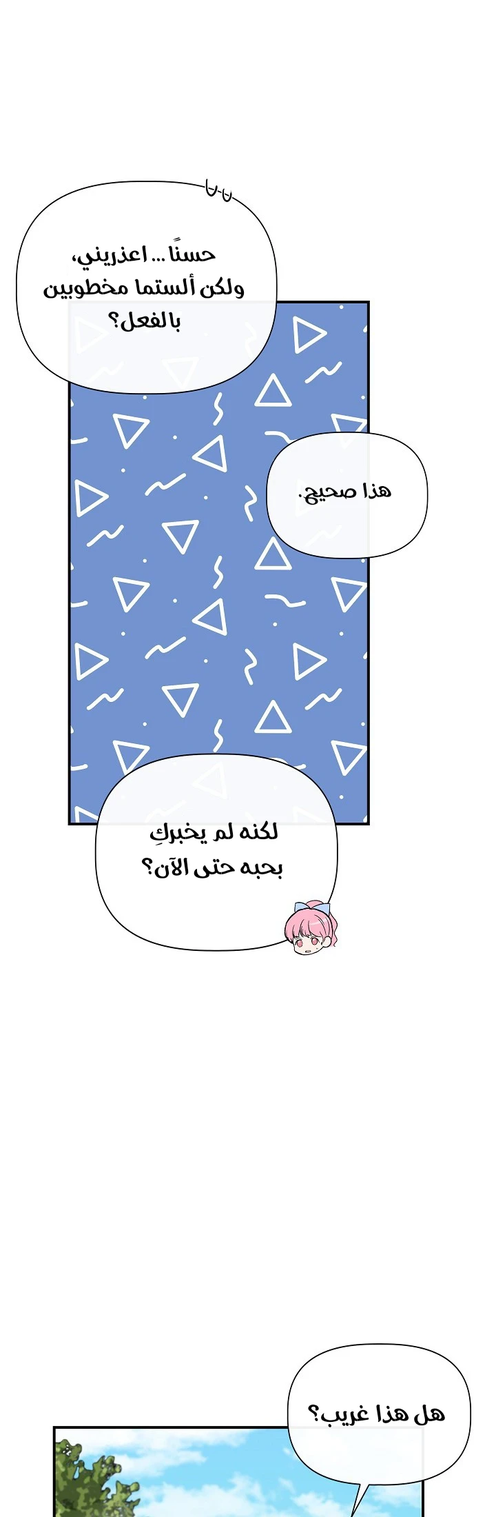 الصفحة 18