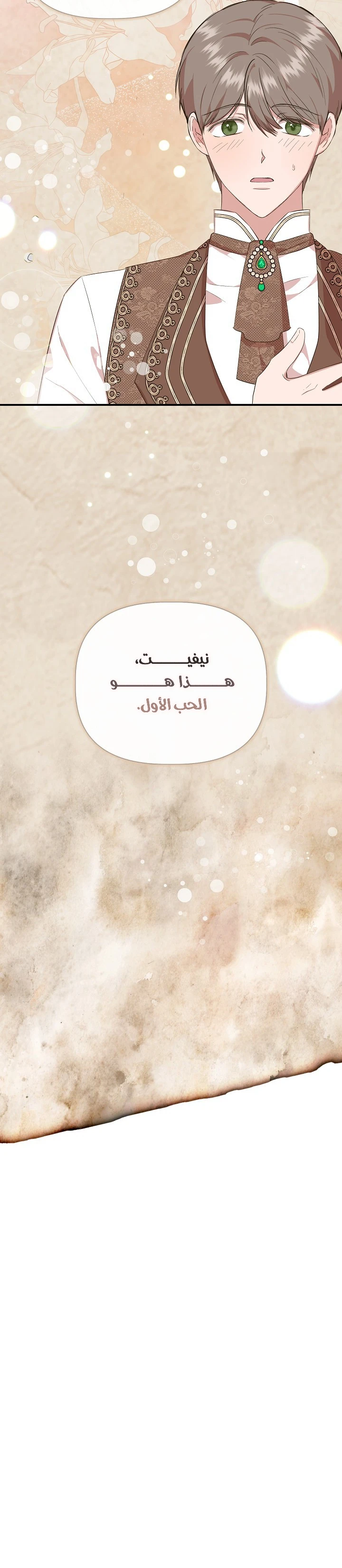 الصفحة 27