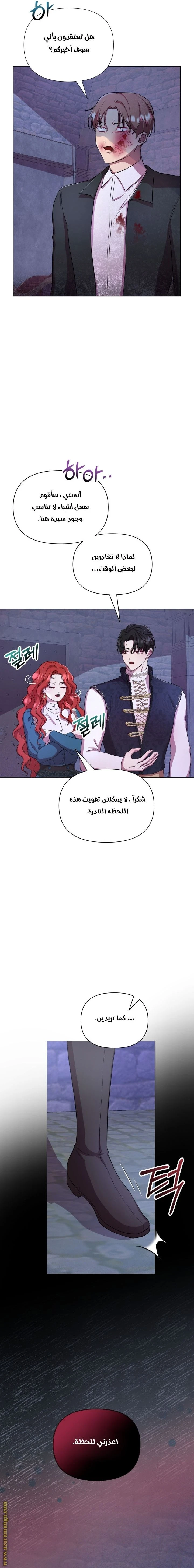 الصفحة 13