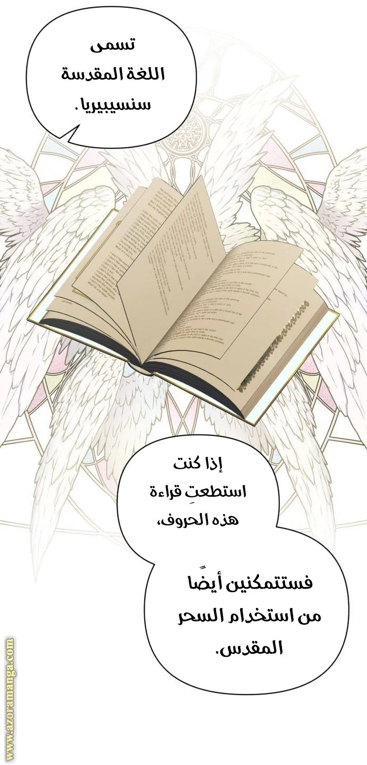 الصفحة 21