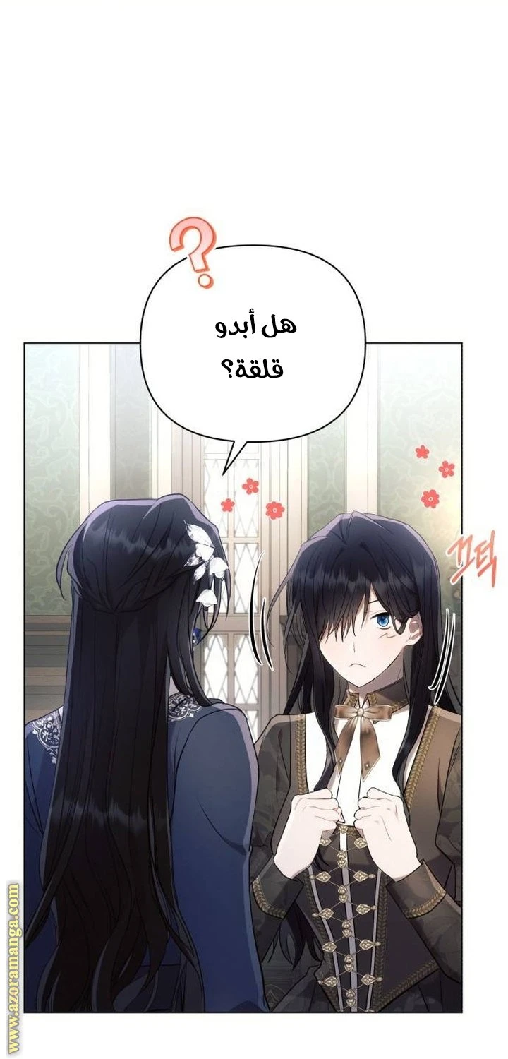 الصفحة 41