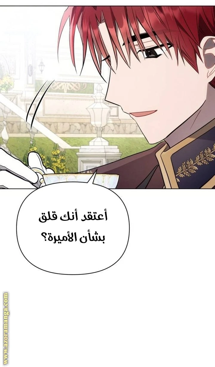 الصفحة 45