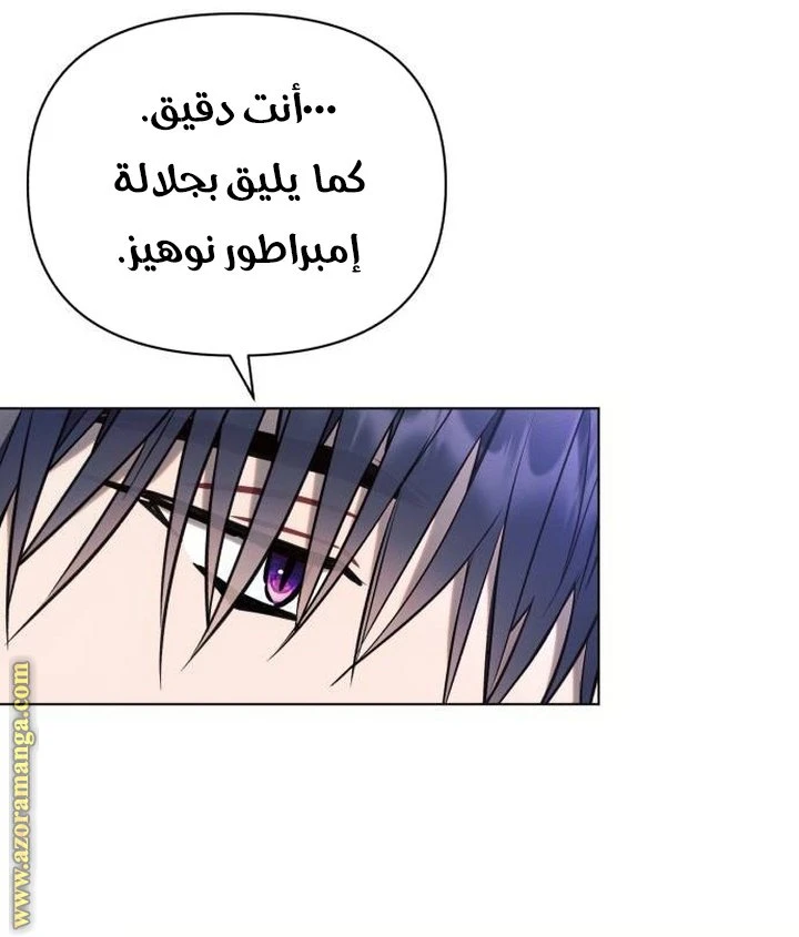 الصفحة 48
